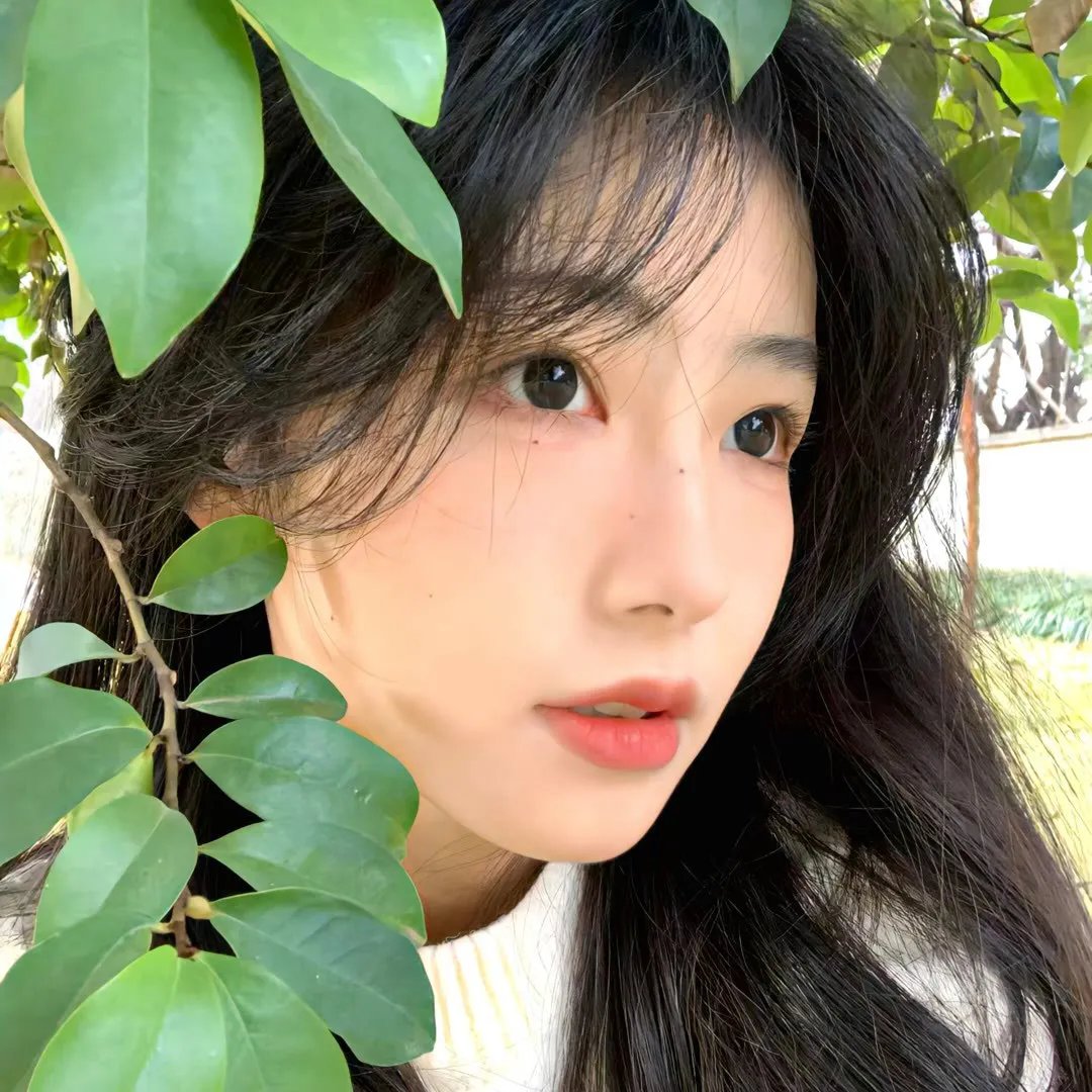 羊妈妈与狮子