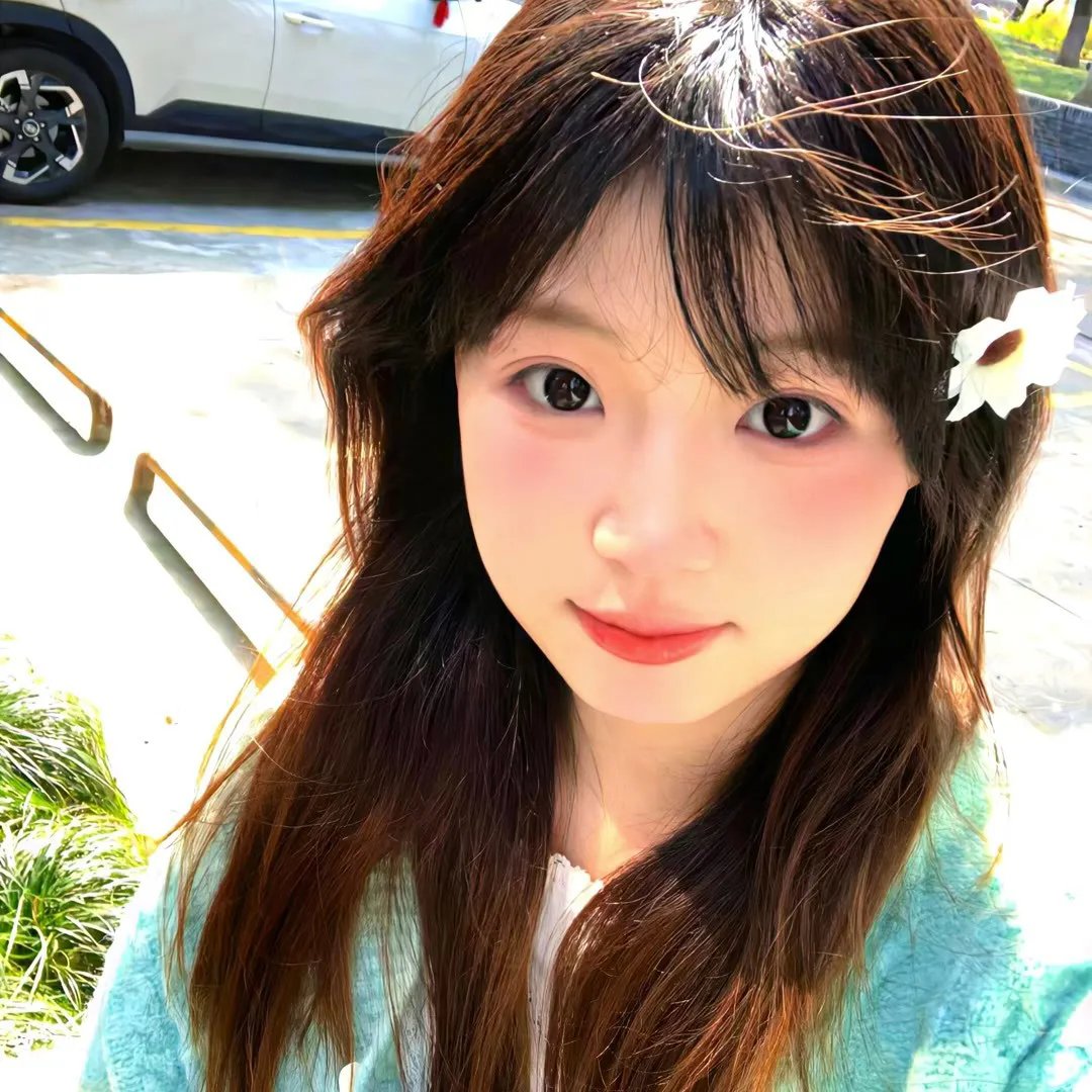 鲨与鲸